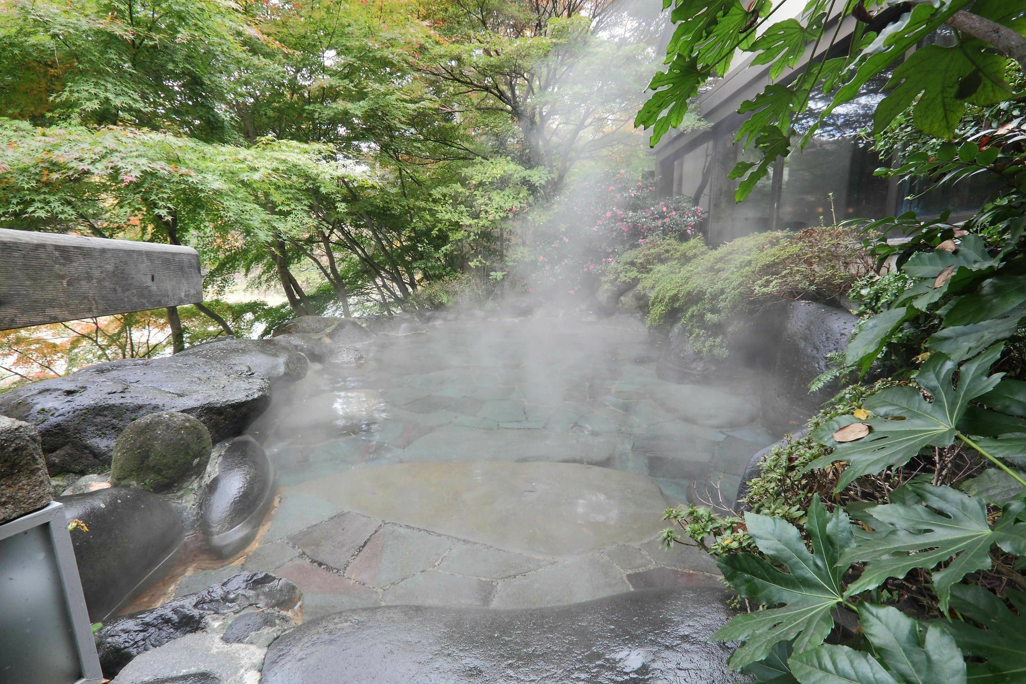 鬼怒川温泉 花の宿 松や 旅館 日光市 エクステリア 写真