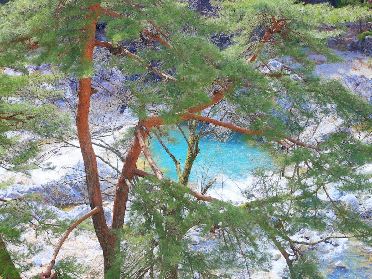 鬼怒川温泉 花の宿 松や 旅館 日光市 エクステリア 写真